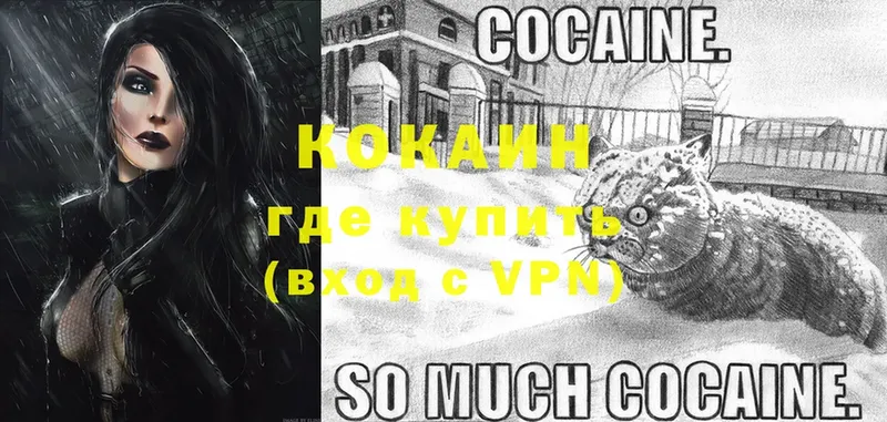 закладка  Глазов  COCAIN Fish Scale 